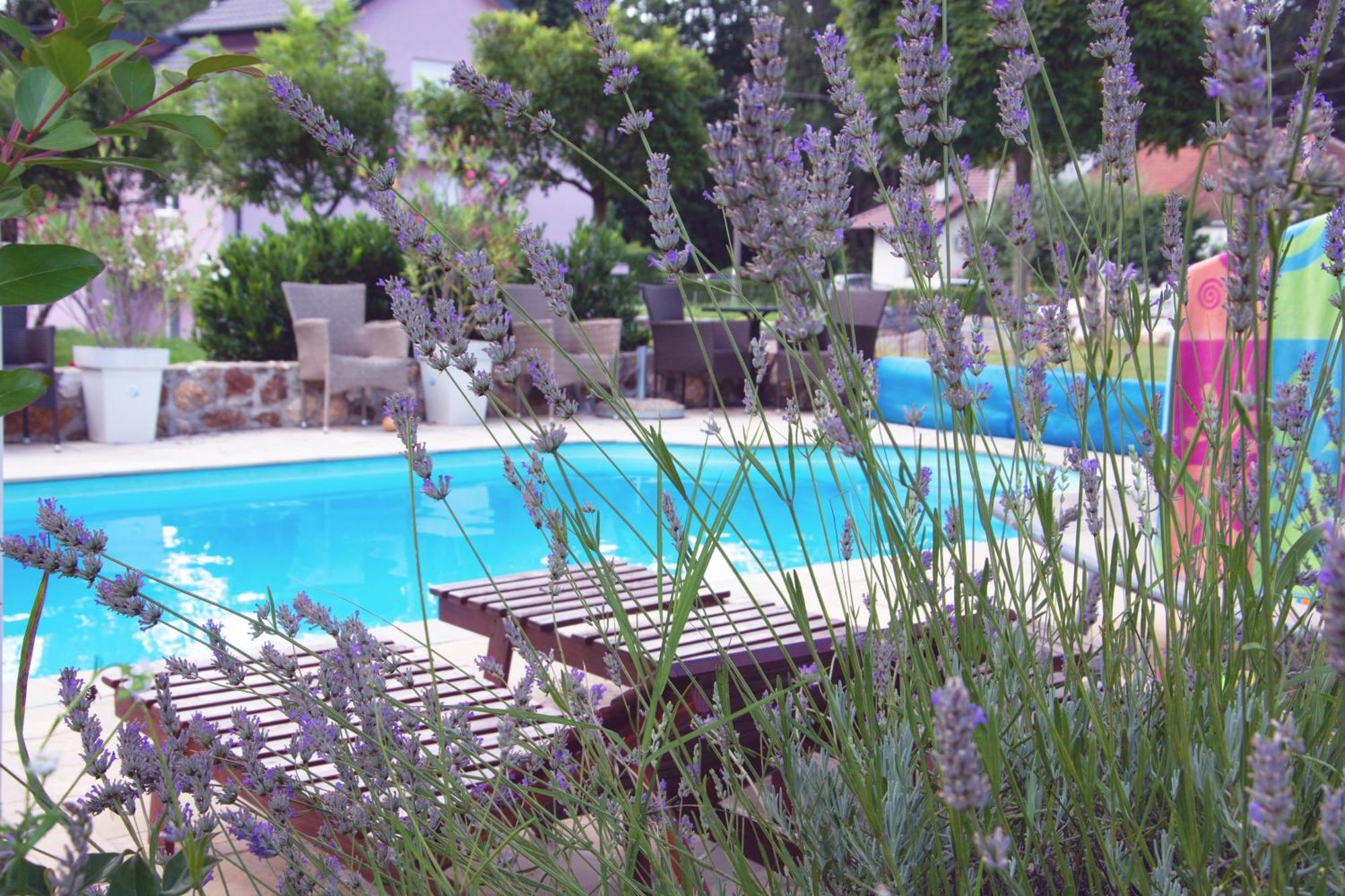 Vila Ljubica Vrnjačka Banja Extérieur photo